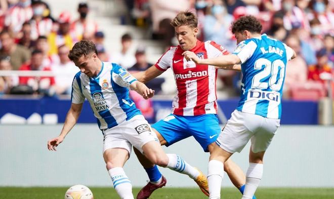 明了他们的 明了他们的